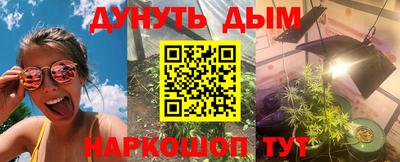 скорость Дубна