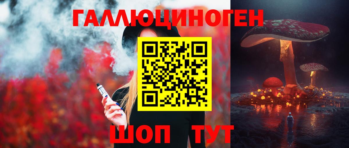 Псилоцибиновые грибы Psilocybe Моршанск